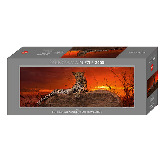 HEYE Red Dawn, AVH 2000pcs