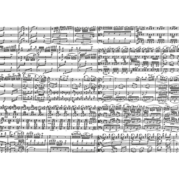PIATNIK Music Notes 1000 pcs