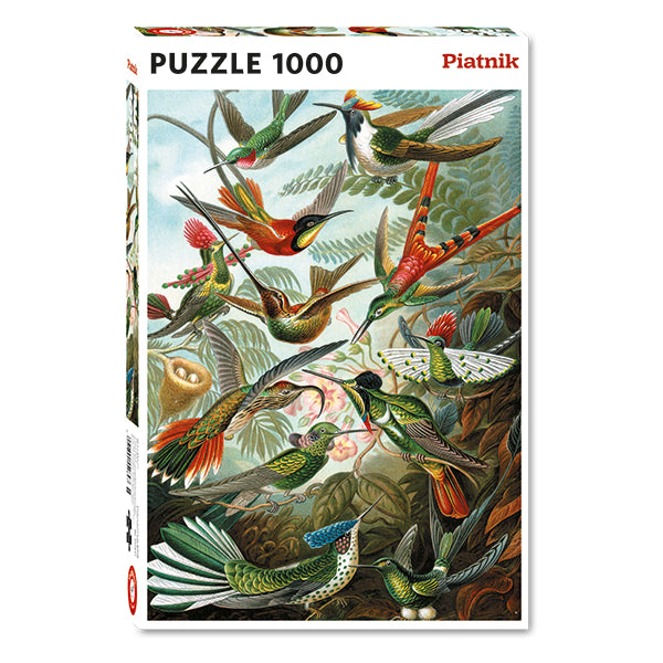 PIATNIK Hummingbirds - Haeckel 1000pcs