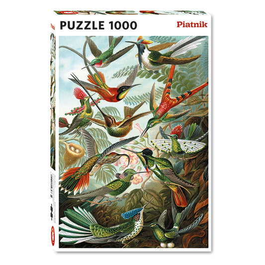 PIATNIK Hummingbirds - Haeckel 1000pcs