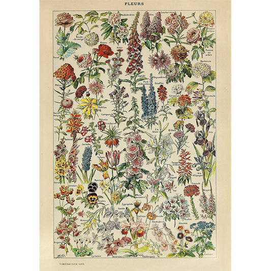 PIATNIK Millot - Flowers 1000pcs