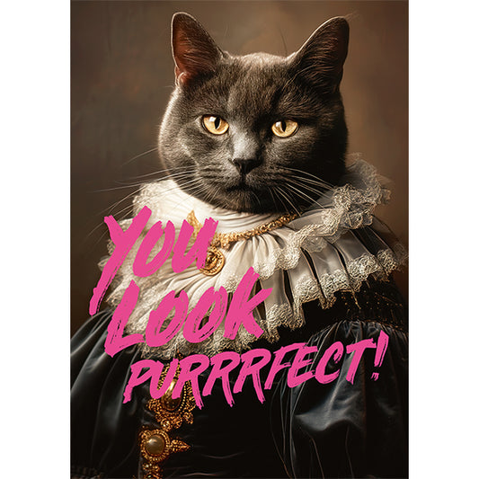 PIATNIK You Look Purrrfect! 1000pcs