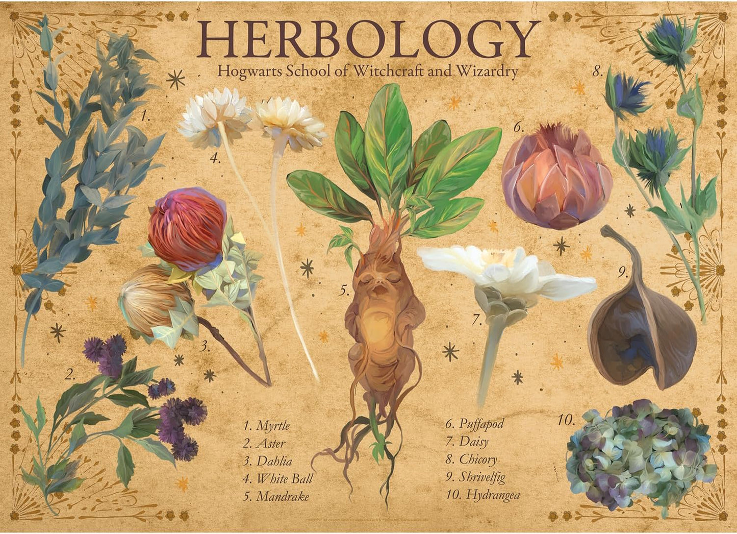 AQUARIUS Harry Potter Herbology 1000 Piece Jigsaw Puzzle