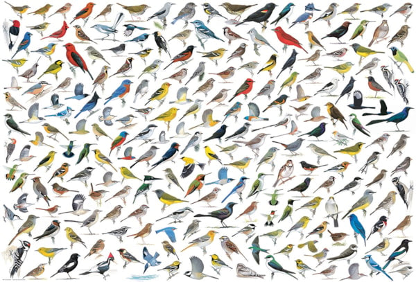 Eurographics, The World of Birds by David Sibley 2000-Piece Puzzle