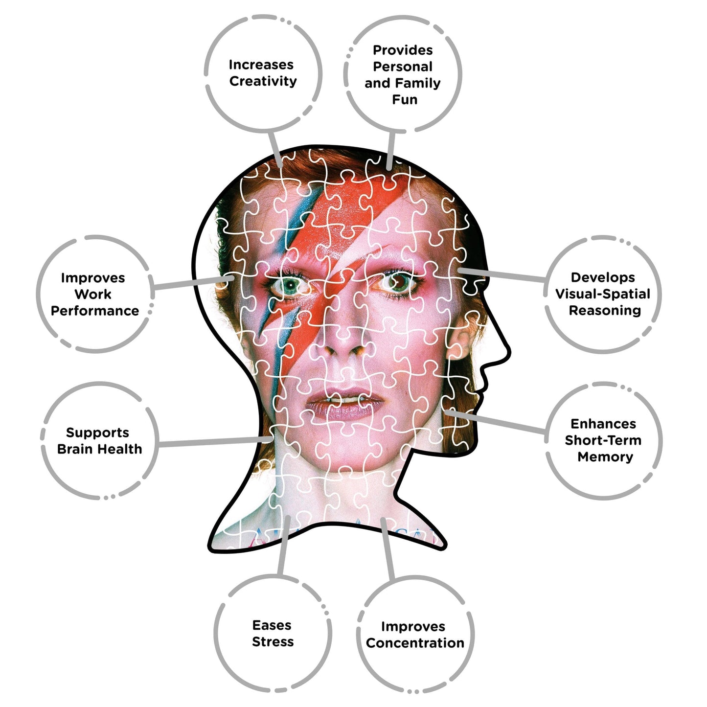 AQUARIUS David Bowie Aladdine 500 Piece Jigsaw Puzzle