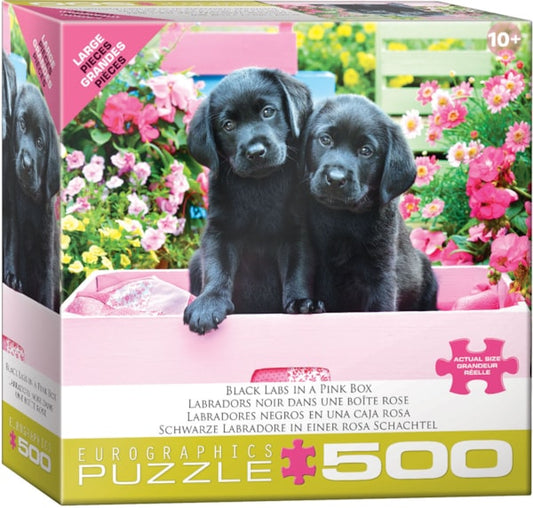 Eurographics Puzzles Black Labs in a Pink Box  Large Oversize 500 pieces Puzzle