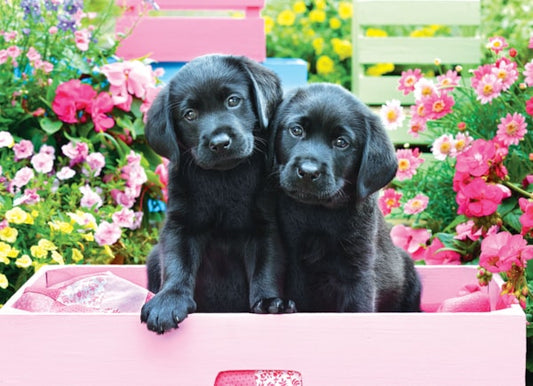 Eurographics Puzzles Black Labs in a Pink Box  Large Oversize 500 pieces Puzzle