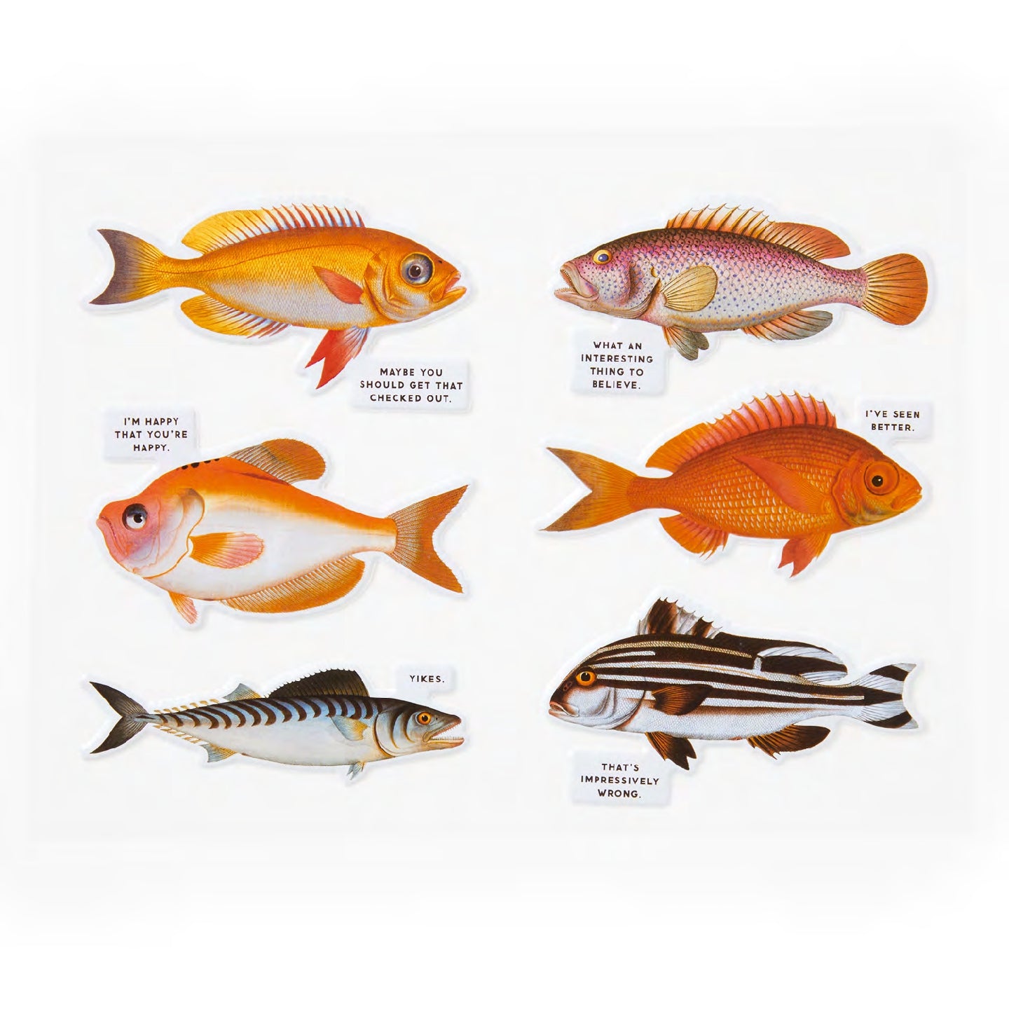 BRASS MONKEY Judgy Fish 1000 Piece Puzzle