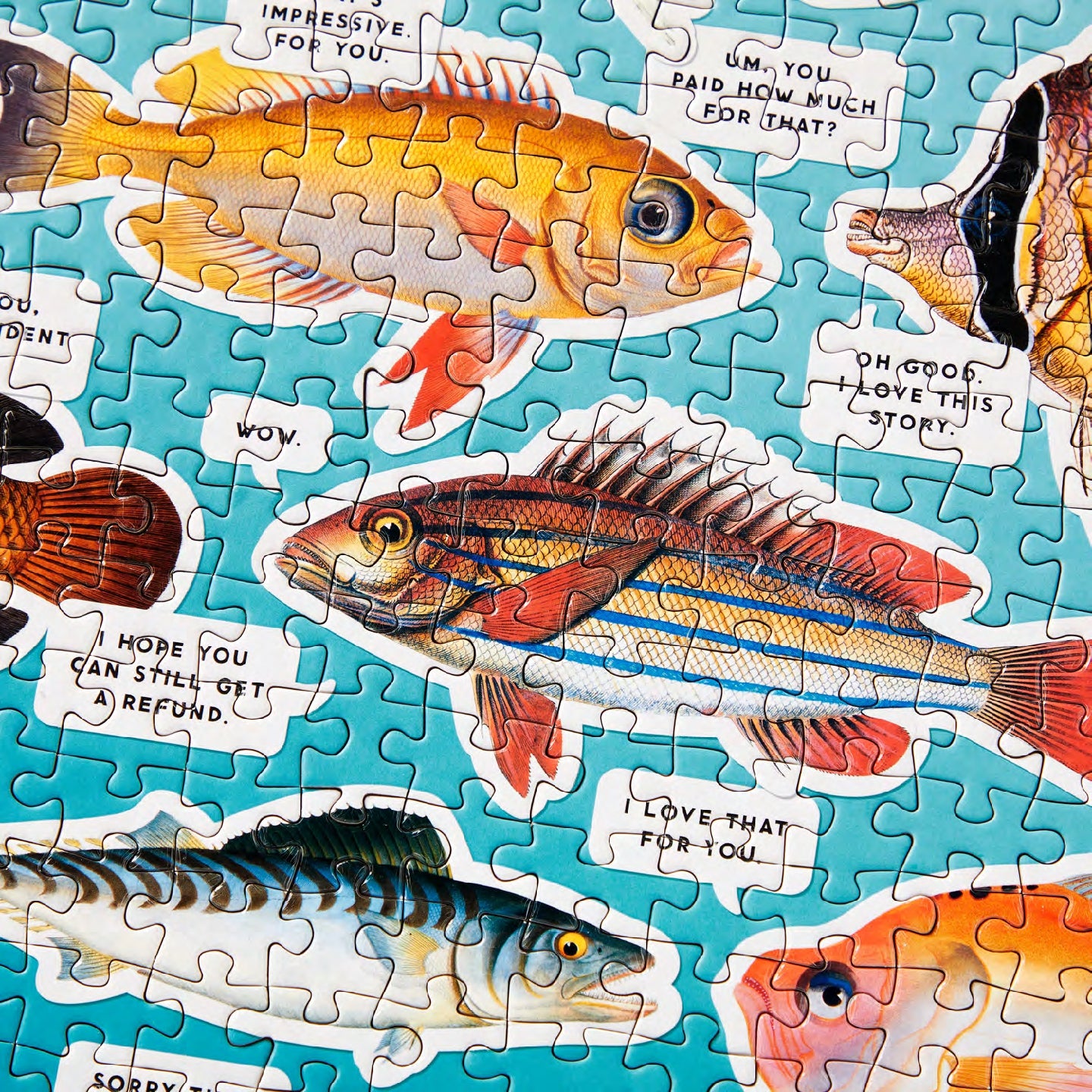 BRASS MONKEY Judgy Fish 1000 Piece Puzzle