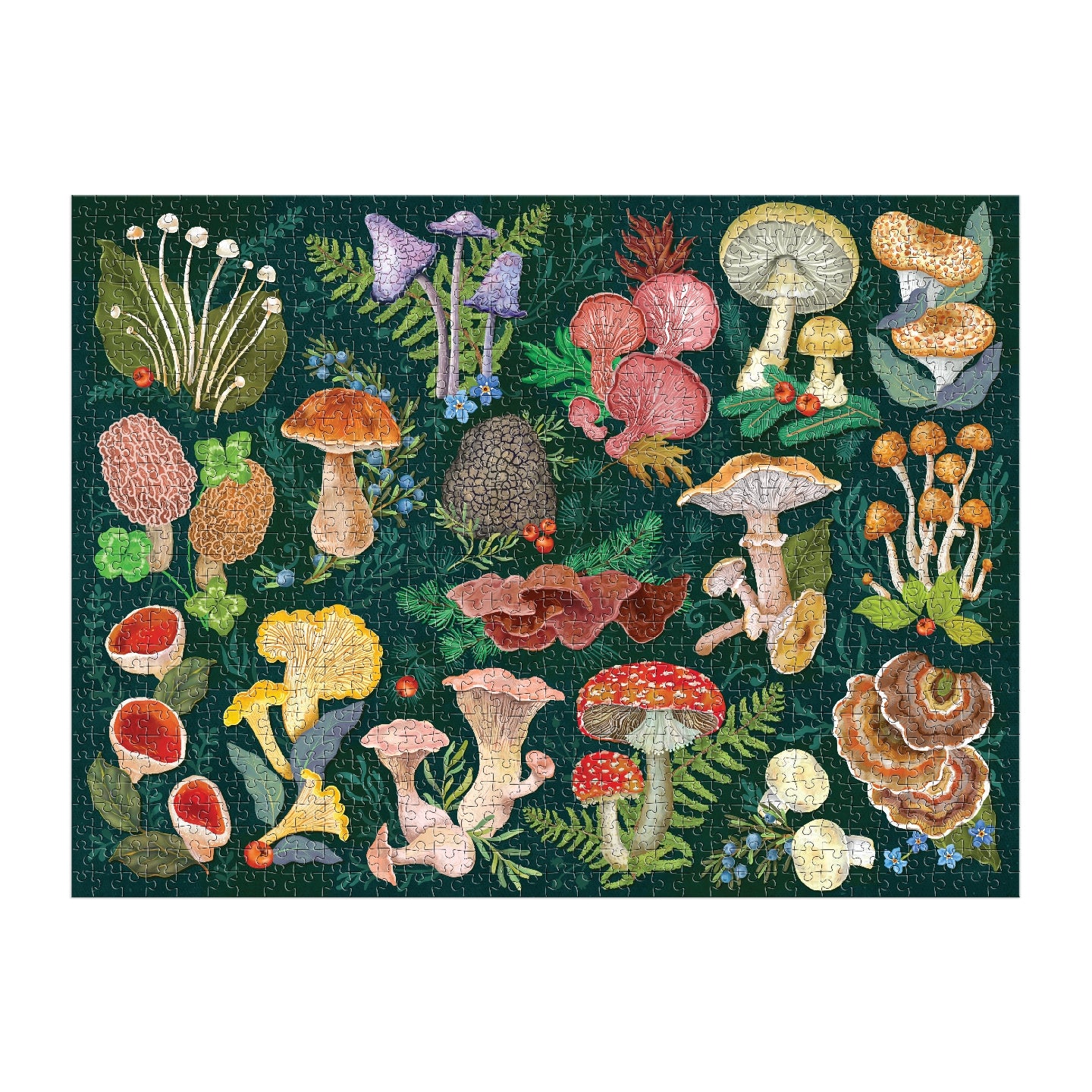 GALISON World of Mushrooms 1000 Piece Puzzle