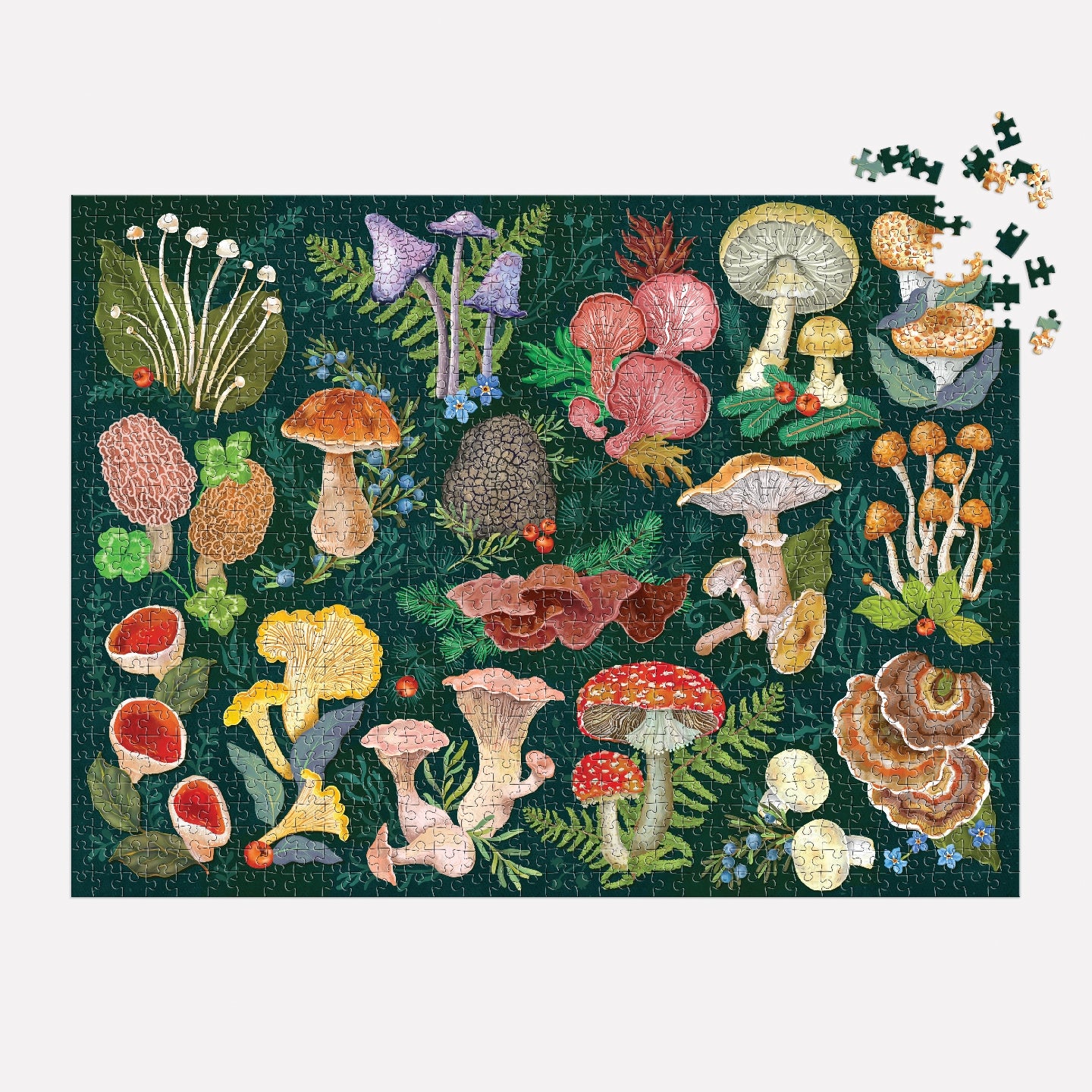 GALISON World of Mushrooms 1000 Piece Puzzle