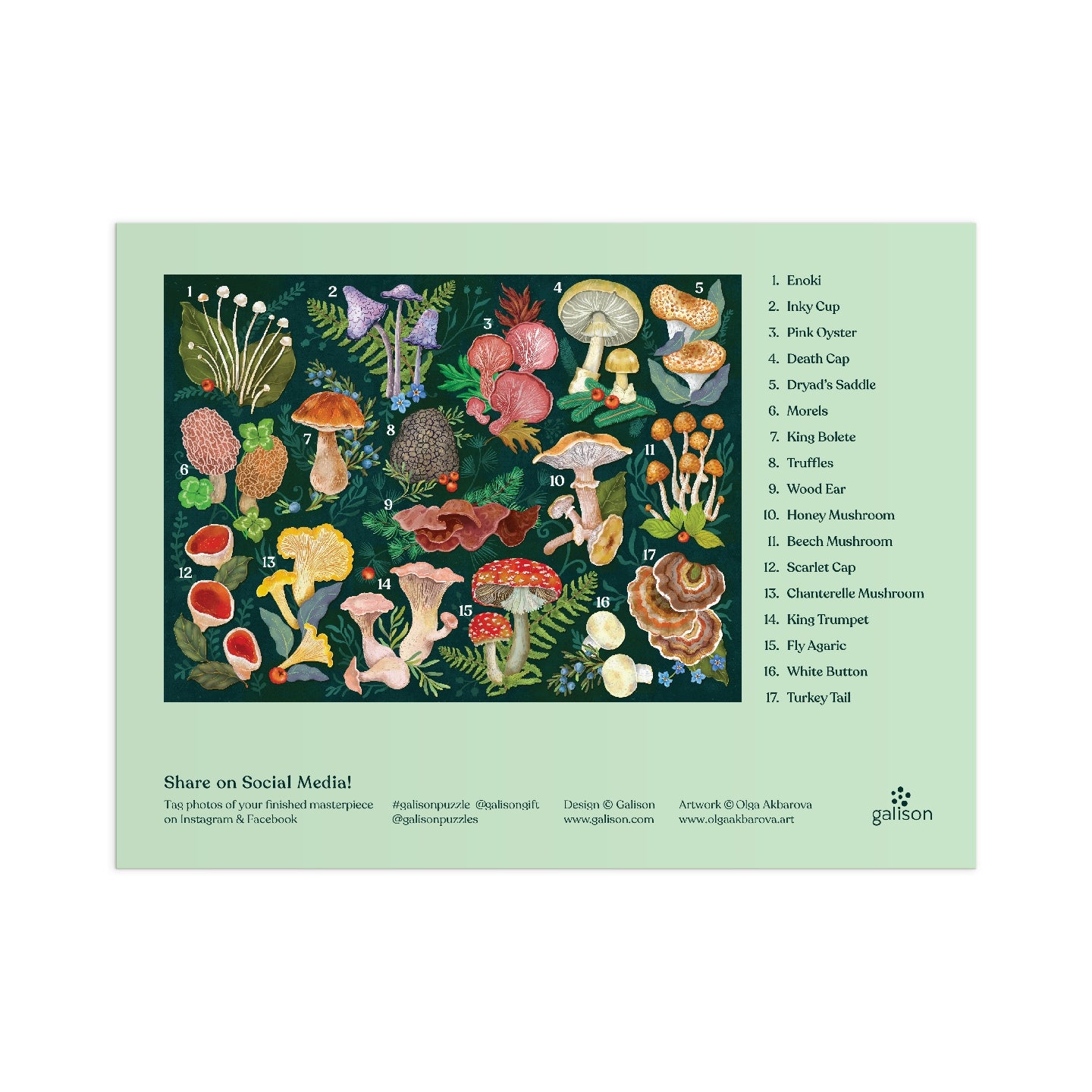 GALISON World of Mushrooms 1000 Piece Puzzle