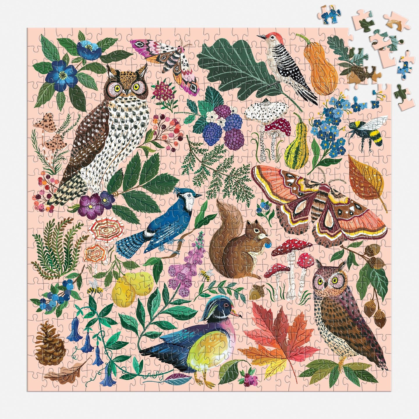 GALISON Nature in Autumn 500 Piece Puzzle