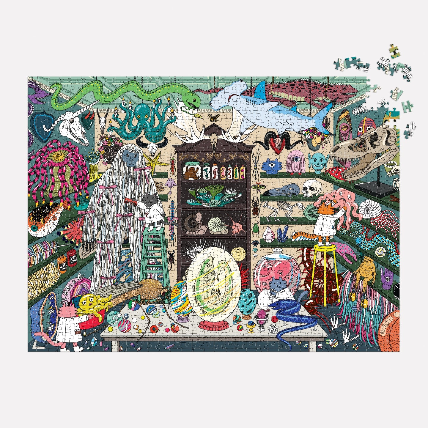 GALISON World of Curiosities 1000 Piece Puzzle