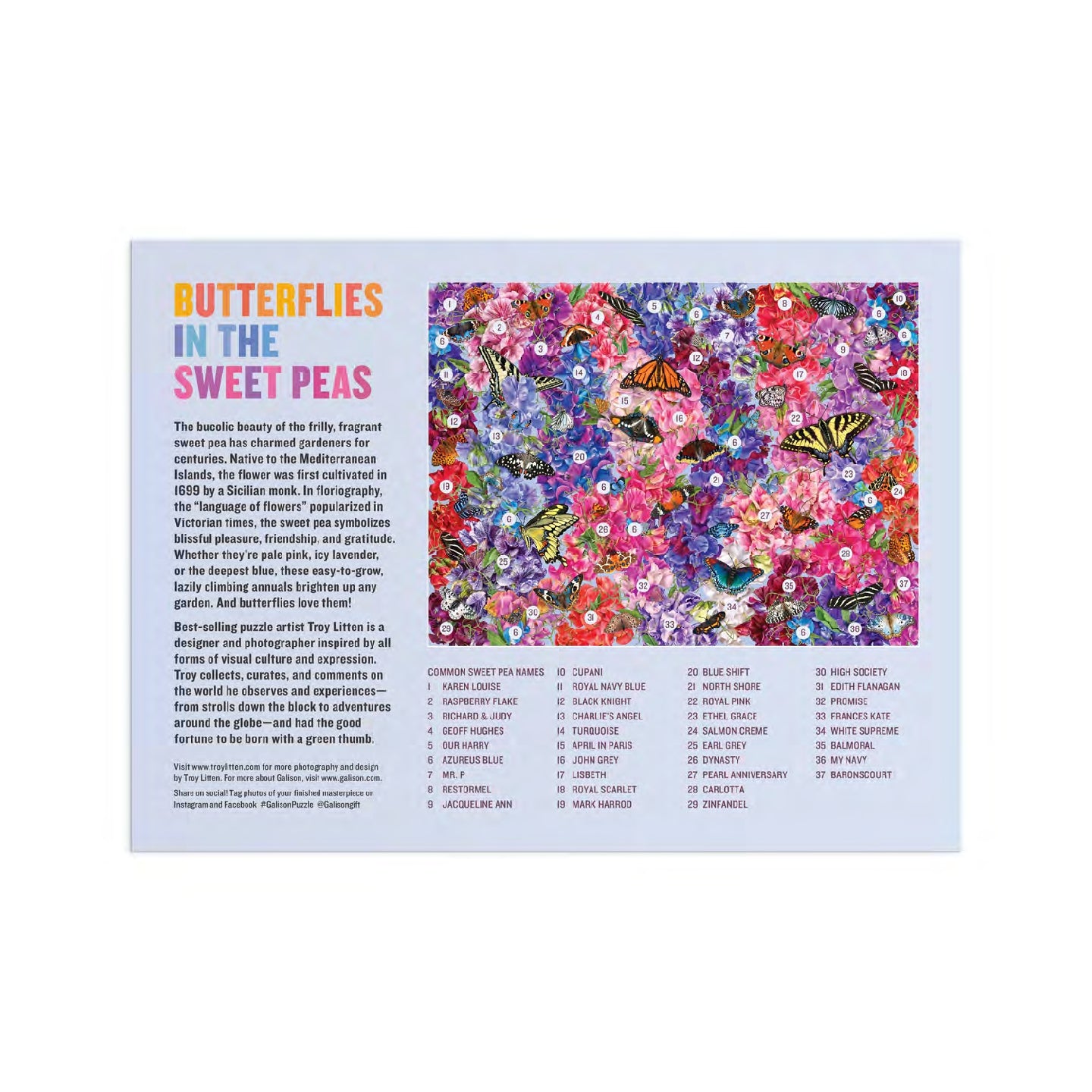 GALISON Troy Litten Butterflies In the Sweet Peas 1000 Piece Puzzle