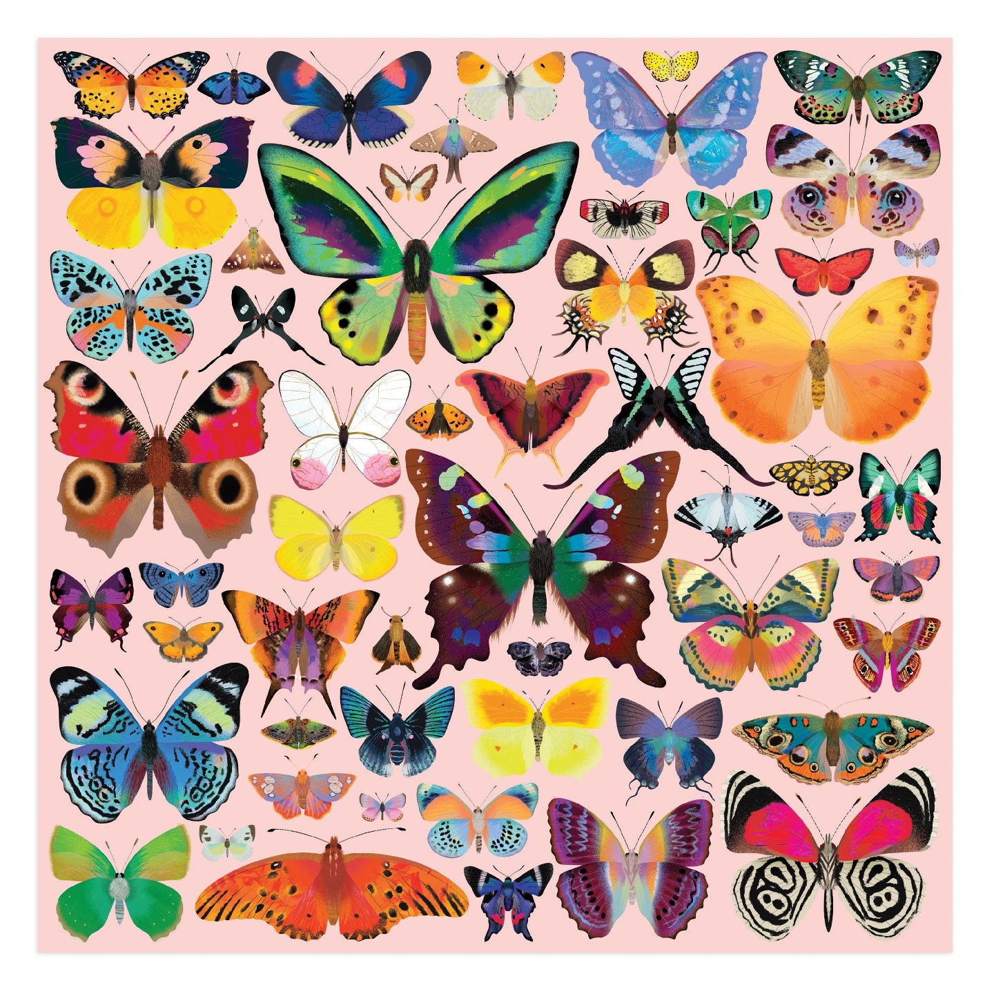 MUDPUPPY Brilliant Butterflies 500 Piece Family Puzzle