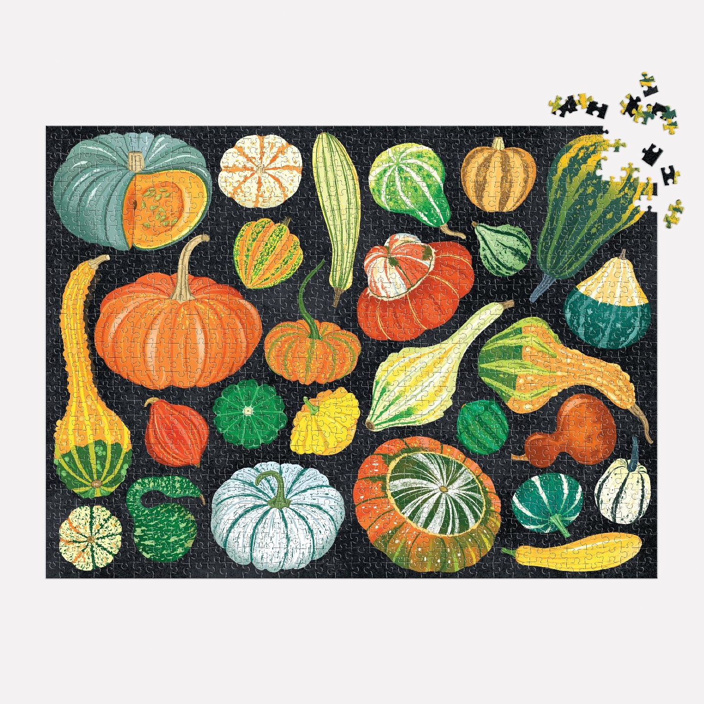 GALISON World of Pumpkins 1000 Piece Puzzle