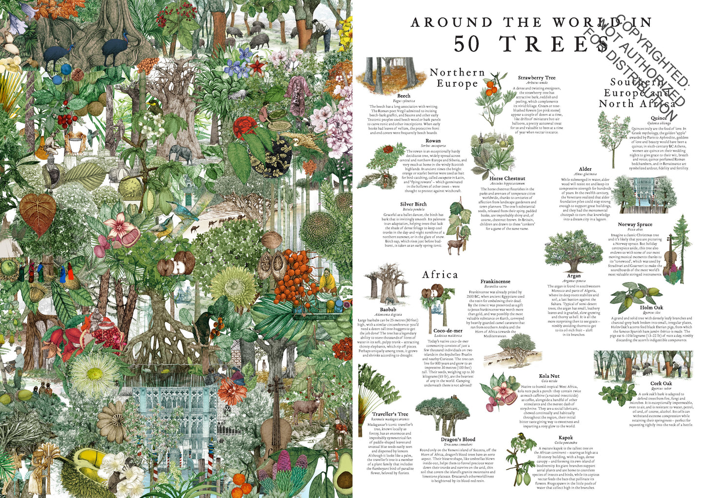 LAURENCE KING Around the World in 50 Trees 1000 Piece Puzzle
