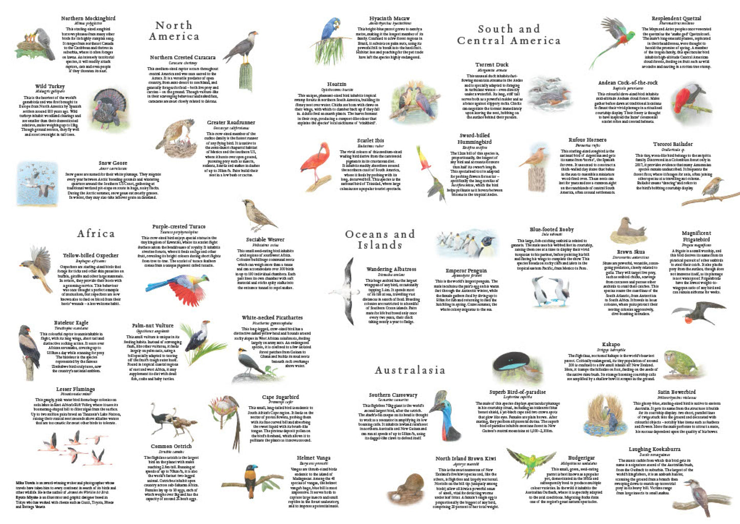 LAURENCE KING Around the World in 50 Birds 1000 Piece Puzzle