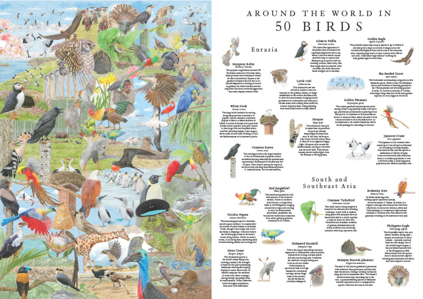 LAURENCE KING Around the World in 50 Birds 1000 Piece Puzzle