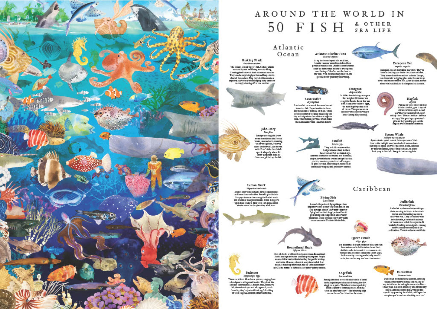 LAURENCE KING Around the World in 50 Fish 1000pcs