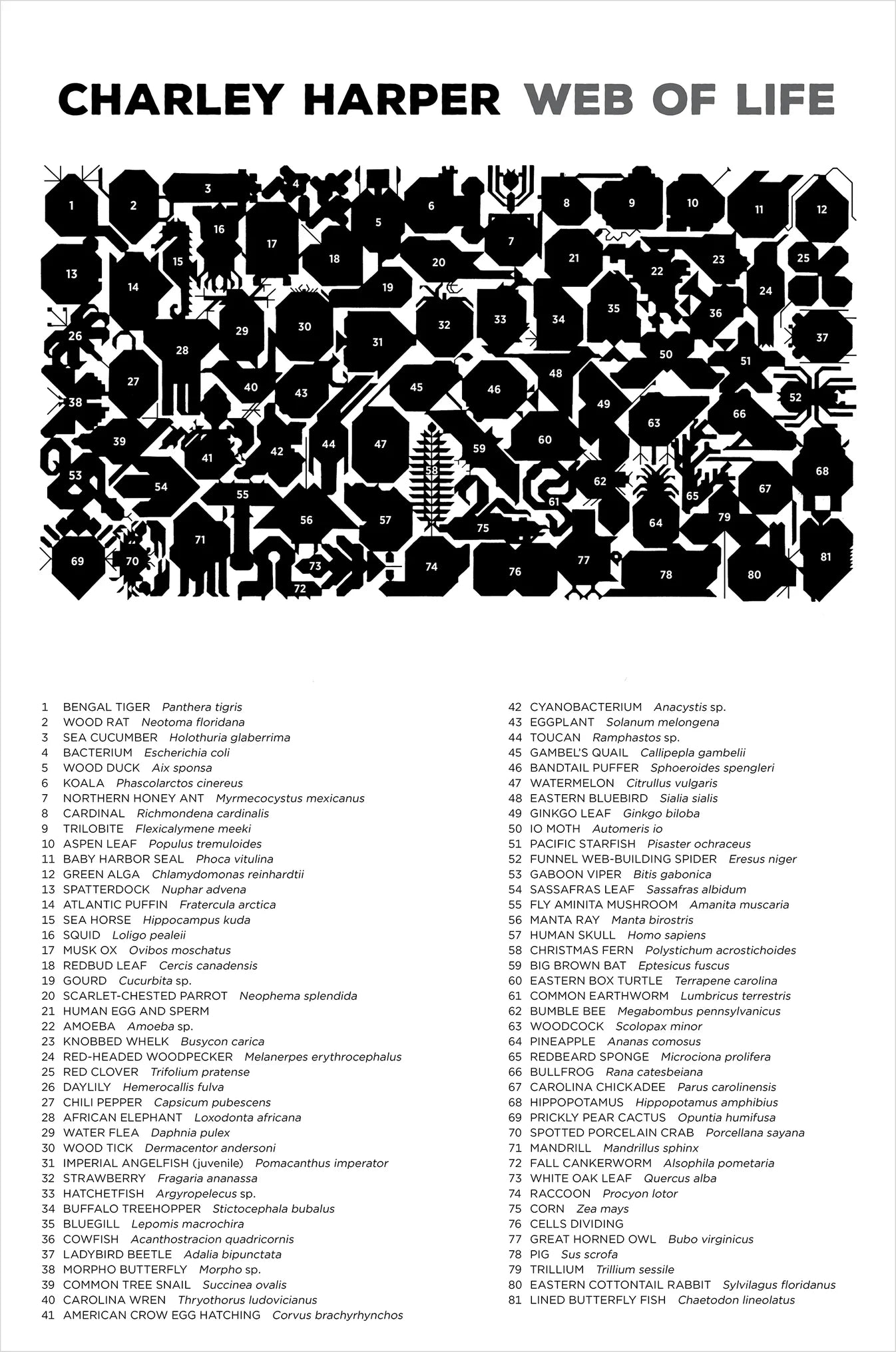 Pomegranate, Charley Harper: Web of Life 2000-Piece Jigsaw Puzzle