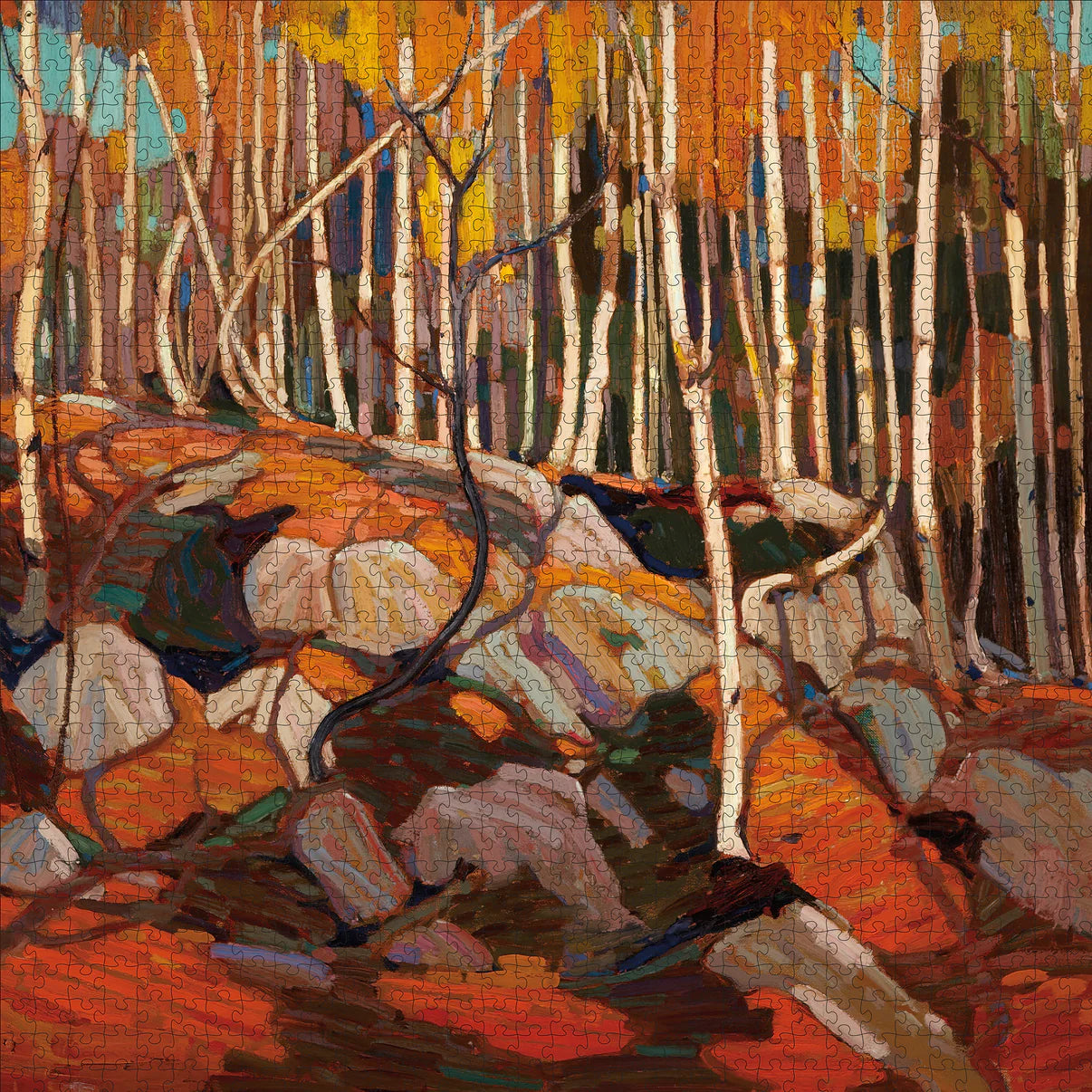 Pomegranate, Tom Thomson: The Birch Grove, Autumn 1000-Piece Jigsaw Puzzle