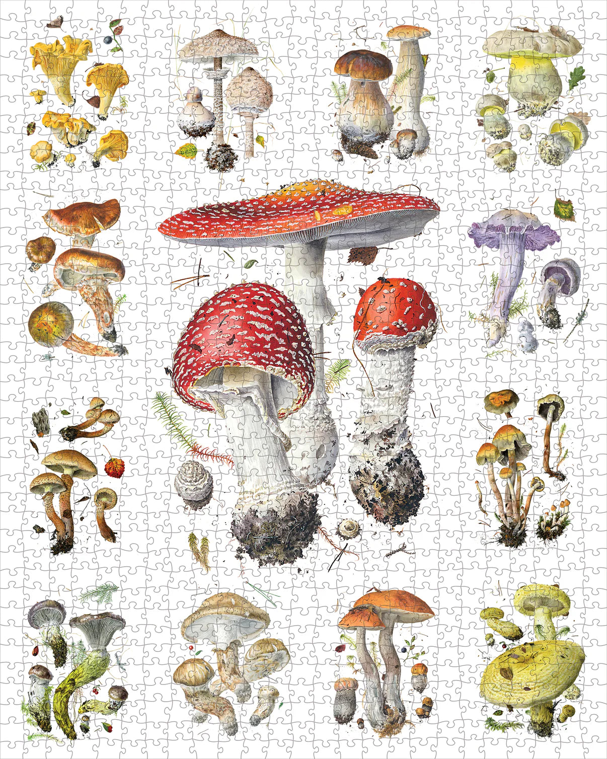 Pomegranate, Mushrooms: Alexander Viazmensky 1000-Piece Jigsaw Puzzle