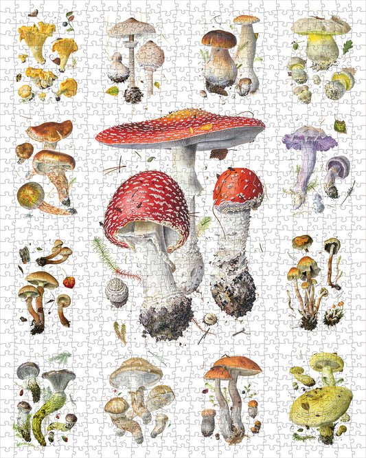 Pomegranate, Mushrooms: Alexander Viazmensky 1000-Piece Jigsaw Puzzle