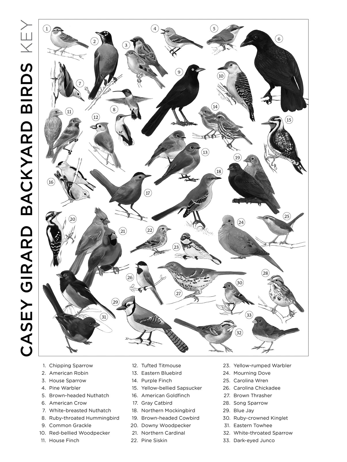 Pomegranate, Casey Girard: Backyard Birds 1000-Piece Jigsaw Puzzle