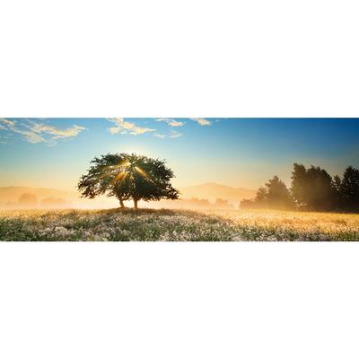 HEYE, AVH, Play of Light, 1000 pcs Panoramic puzzle