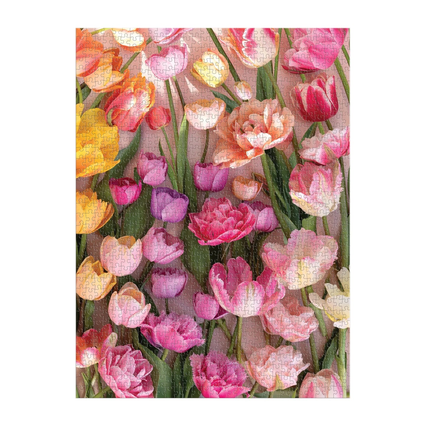GALISON Ephemeral Tulips 1000 Piece Puzzle
