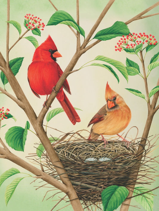NEW YORK PUZZLE COMPANY, Northern Cardinals, 500 pcs