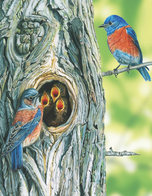 NEW YORK PUZZLE COMPANY Western Bluebird Mini 100 Piece