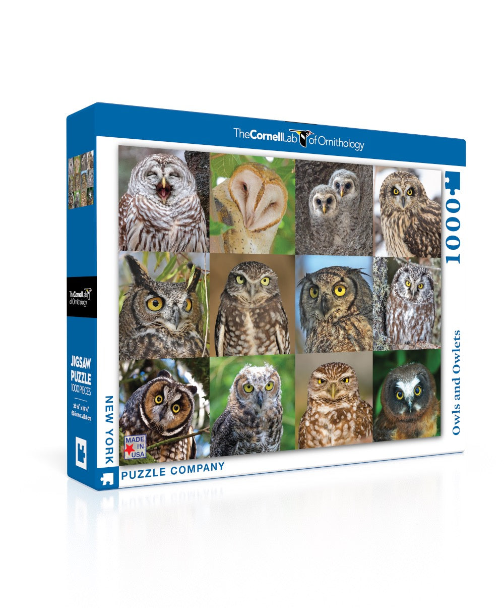 NEW YORK PUZZLE COMPANY, Owls and Owlets, 1000 pcs