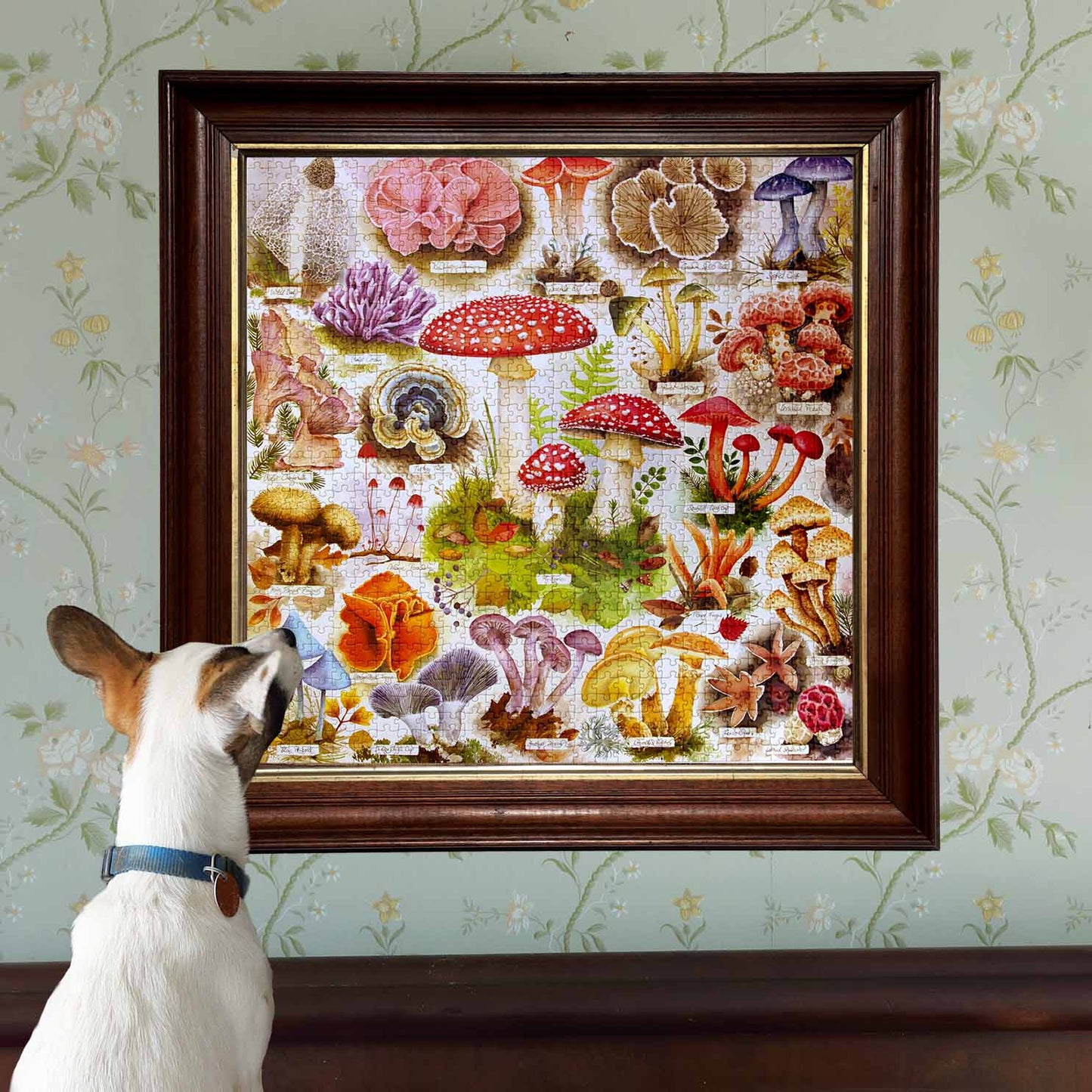 eeBoo Bountiful Mushrooms 1000 Piece Puzzle