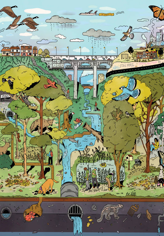 MANGO PUZZLES The Ravine | 1000-piece Puzzle for Adults | Artwork by Kathleen Fu