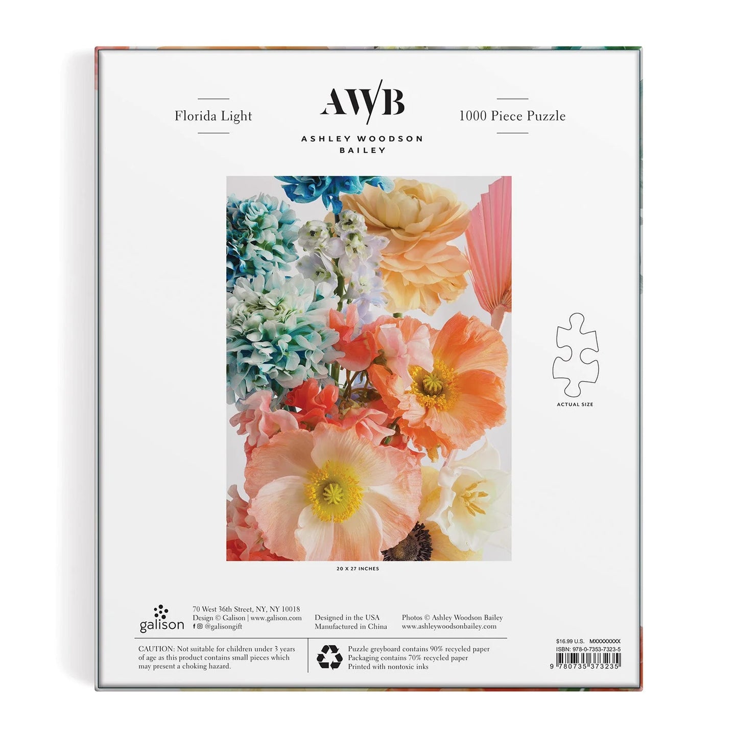 GALISON Ashley Woodson Bailey Florida Light 1000 Piece Puzzle