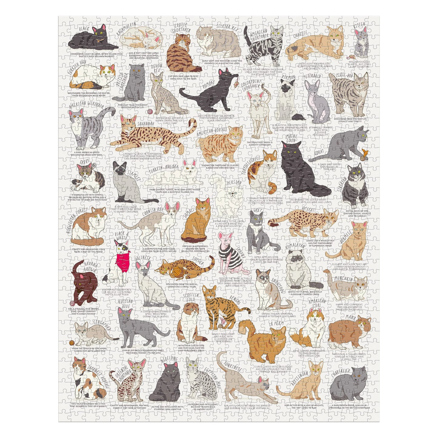 RIDLEY'S Cat Lover's 1000 Piece Jigsaw Puzzle
