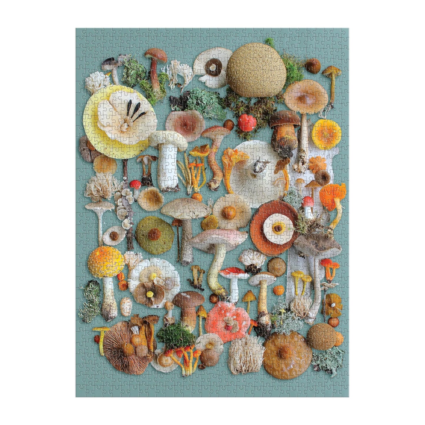GALISON Foraged 1000 Piece Puzzle