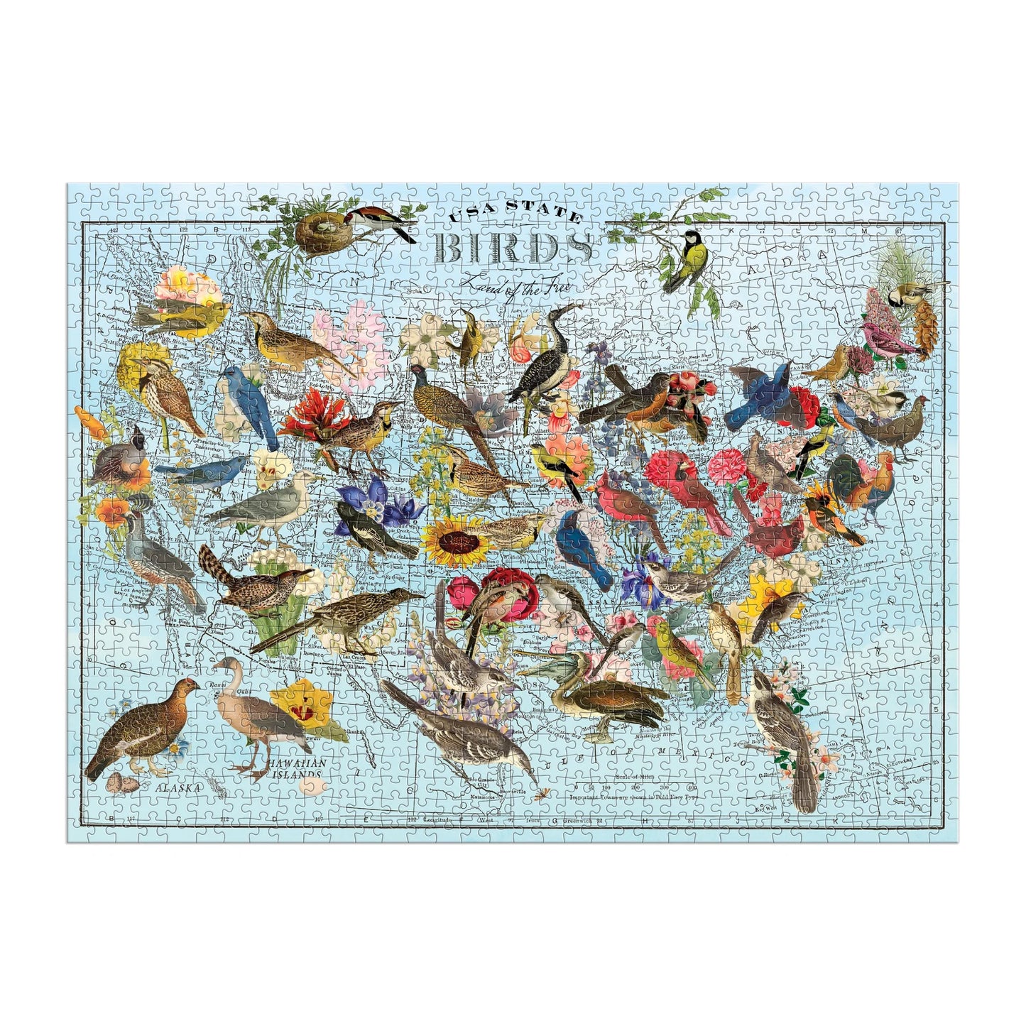 GALISON Wendy Gold State Birds 1000 Piece Puzzle